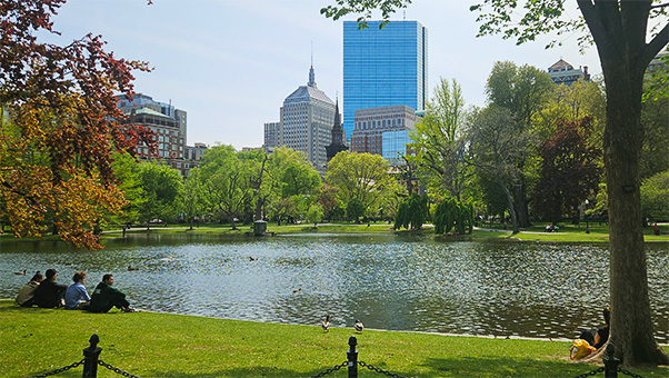 Coverd Photo in Boston - Boston Massachusetts Photography