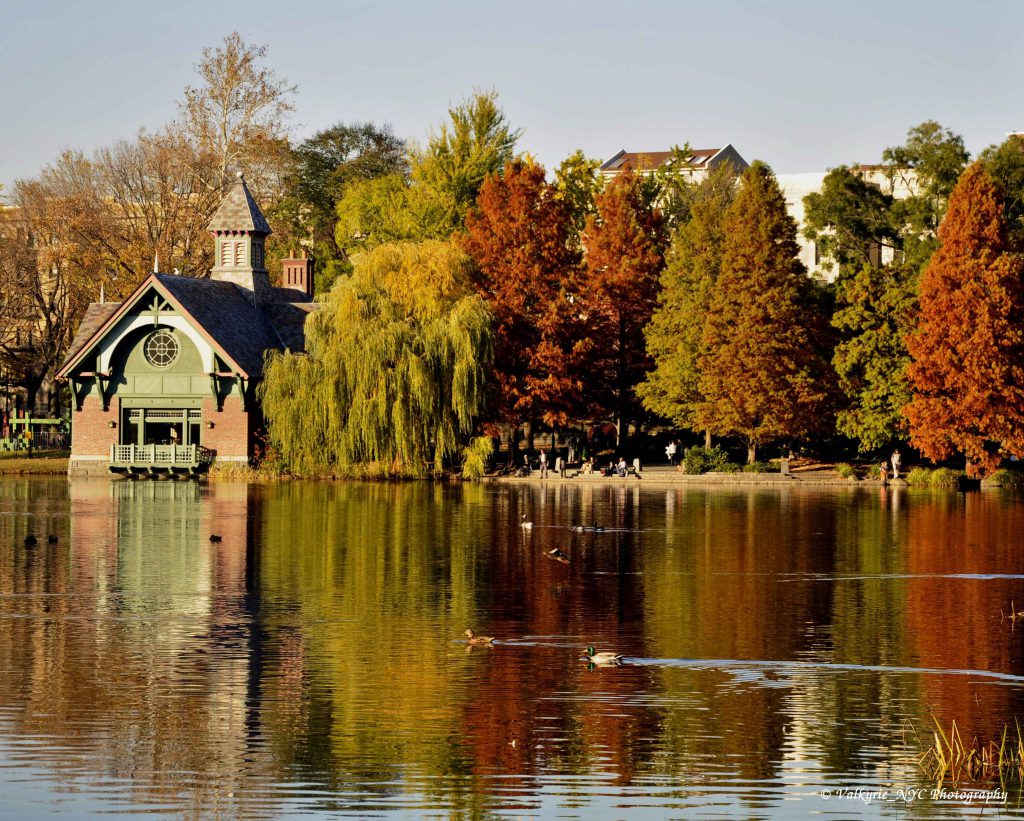 harlem-meer-in-fall